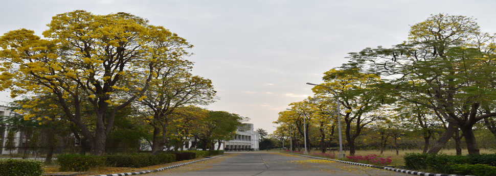 Natural Bearuty of the JUET Campus around Tagore Hall